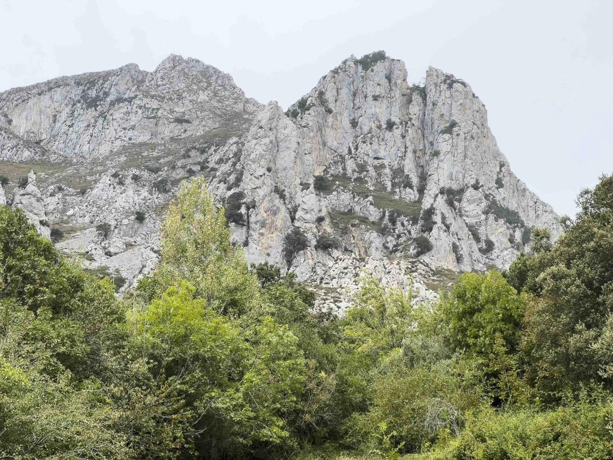 Albergue De Cabanes Cabanes  Екстериор снимка
